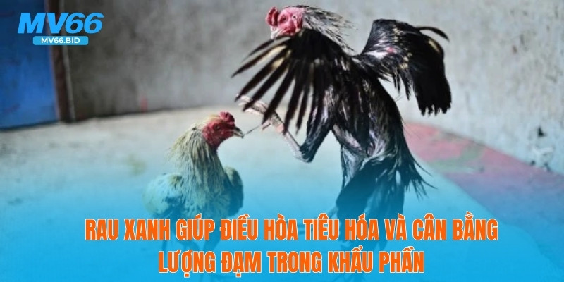 Rau xanh giúp điều hòa tiêu hóa và cân bằng lượng đạm trong khẩu phần