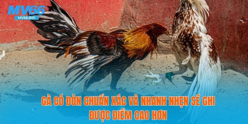 Gà có đòn chuẩn xác và nhanh nhẹn sẽ ghi được điểm cao hơn
