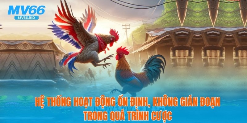 Hệ thống hoạt động ổn định, không gián đoạn trong quá trình cược