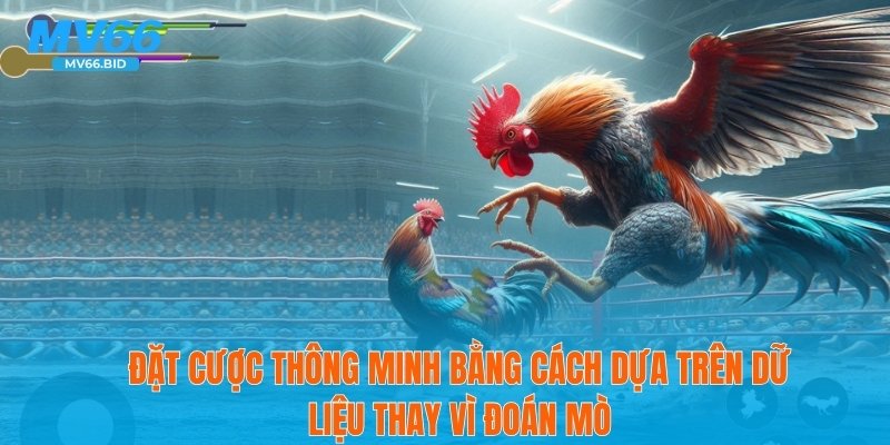 Đặt cược thông minh bằng cách dựa trên dữ liệu thay vì đoán mò