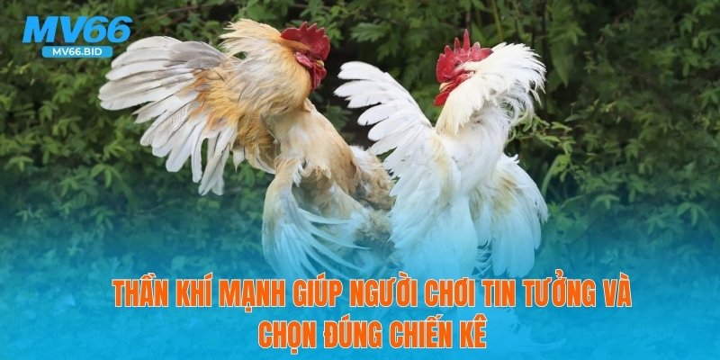 Thần khí mạnh giúp người chơi tin tưởng và chọn đúng chiến kê
