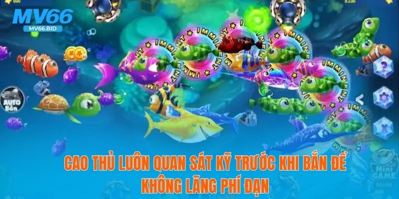 Cao thủ luôn quan sát kỹ trước khi bắn để không lãng phí đạn