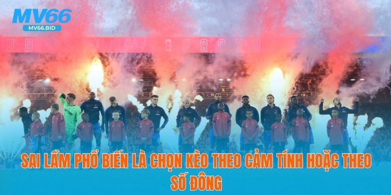 Sai lầm phổ biến là chọn kèo theo cảm tính hoặc theo số đông