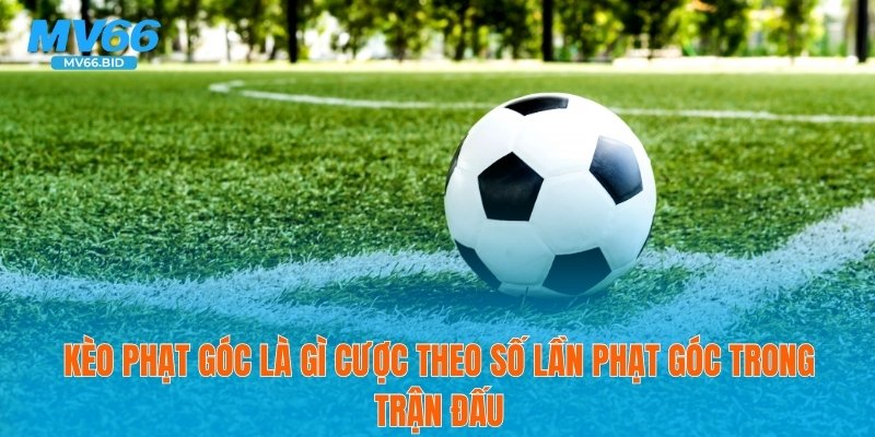 Kèo phạt góc là gì cược theo số lần phạt góc trong trận đấu