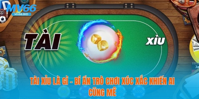 Tài Xỉu Là Gì – Bí Ẩn Trò Chơi Xúc Xắc Khiến Ai Cũng Mê