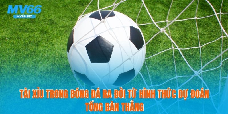 Tài xỉu trong bóng đá ra đời từ hình thức dự đoán tổng bàn thắng