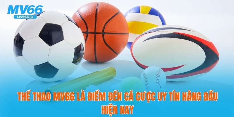 Thể thao MV66 là điểm đến cá cược uy tín hàng đầu hiện nay