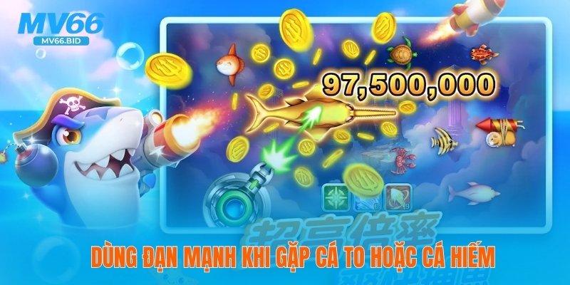 Dùng đạn mạnh khi gặp cá to hoặc cá hiếm